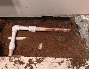 浦江测漏水哪家好